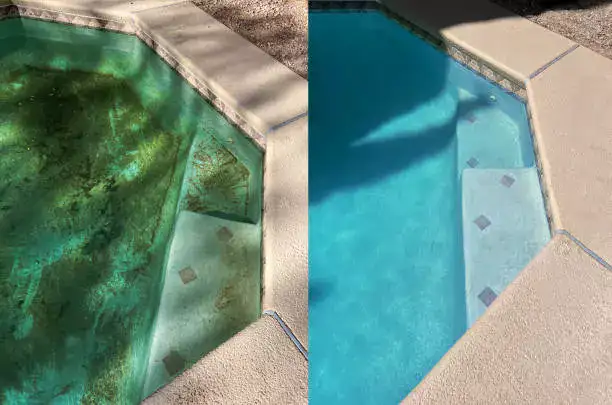 Green Pool Cleaning