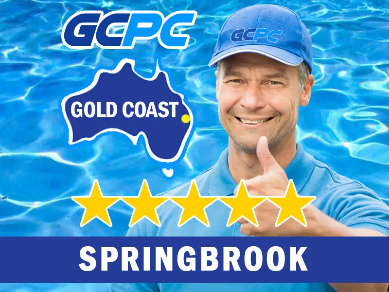 Springbrook pool cleaning and maintenance expert.
