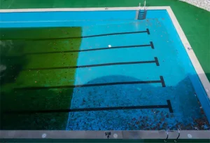 Pool Algae