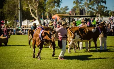 Mudgeeraba